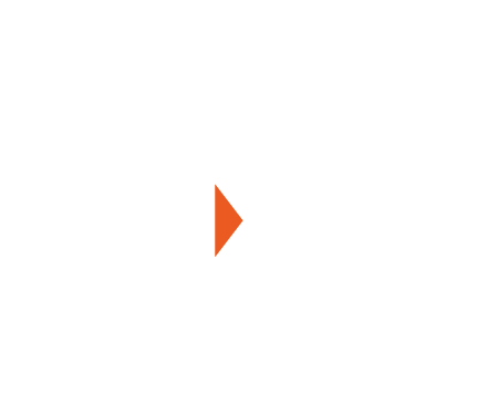 Logo DLX